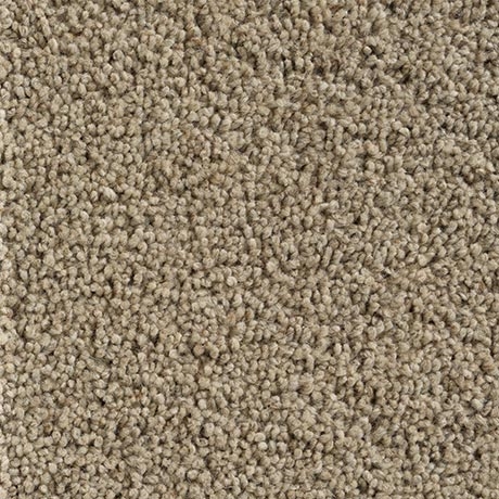 Best-Wool-Woll-Teppich-Sincere-Mushroom-400cm