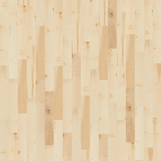 Star-Solo-Parkett-Ahorn-europäisch-beige-gebl