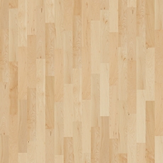 Star-Solo-Parkett-Ahorn-kanadisch-beige